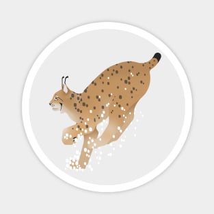 Eurasian lynx - Run Magnet